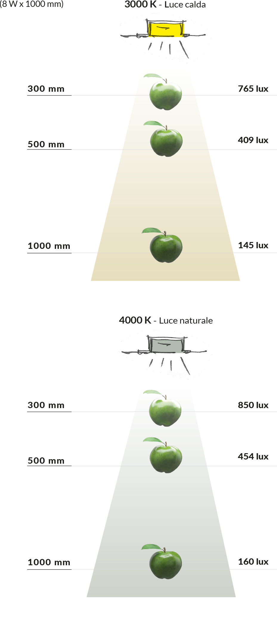 Linea _8 – PFJ-LUX